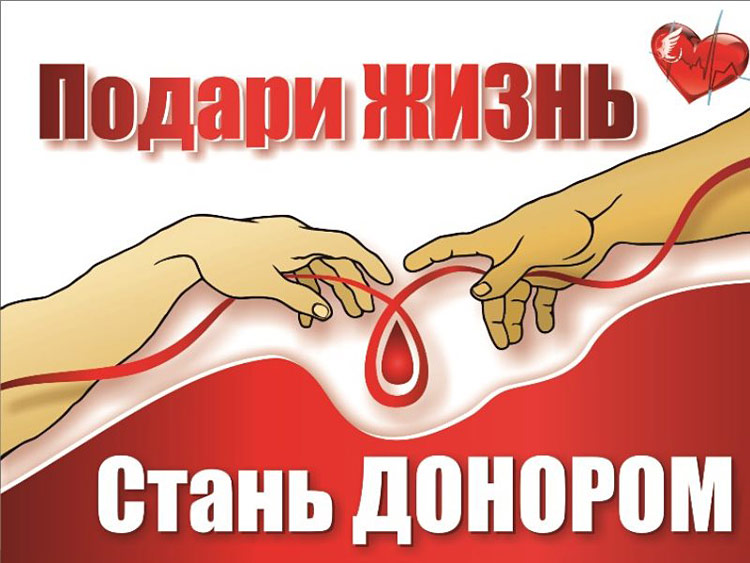 ГБОУ СОШ № 15