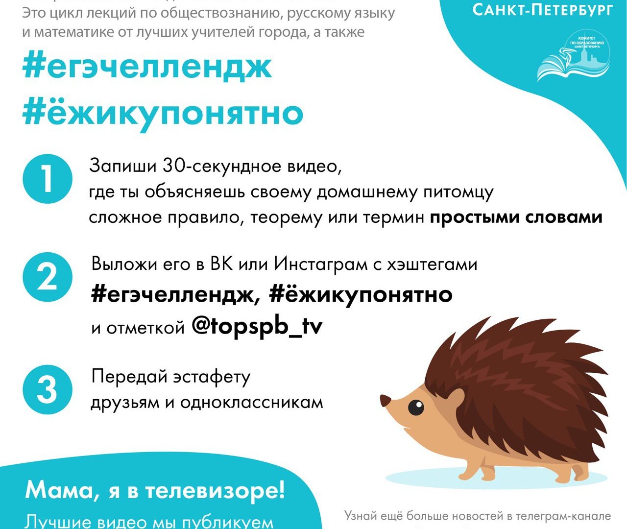 ГБОУ СОШ № 15