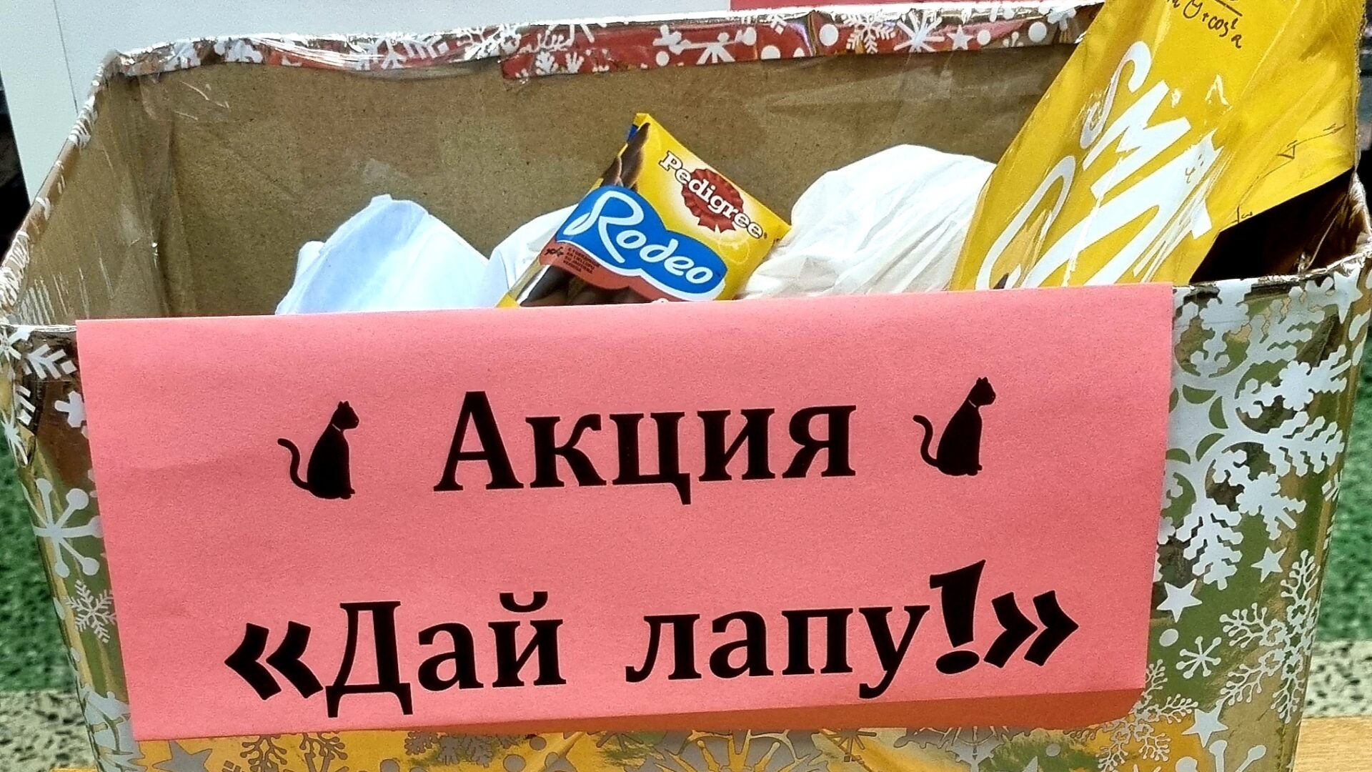 ГБОУ СОШ № 15