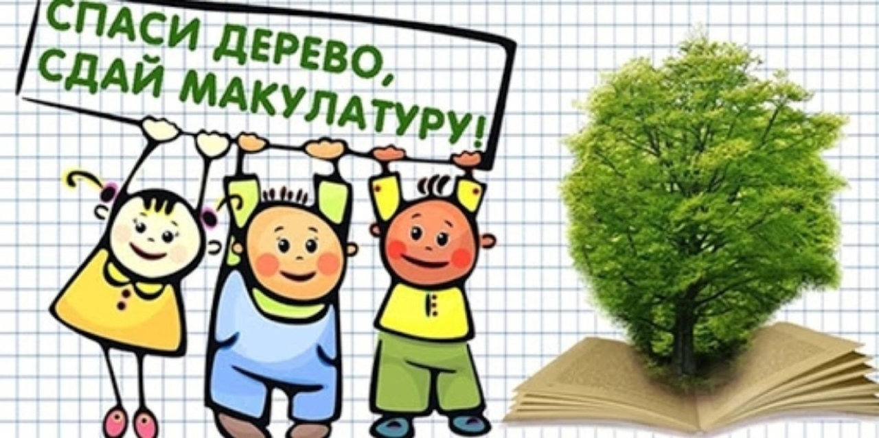 ГБОУ СОШ № 15